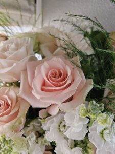 Roses make any occasion